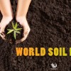 Save Our Food Production by Conserving the Soil